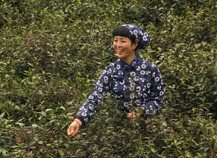 评分第三